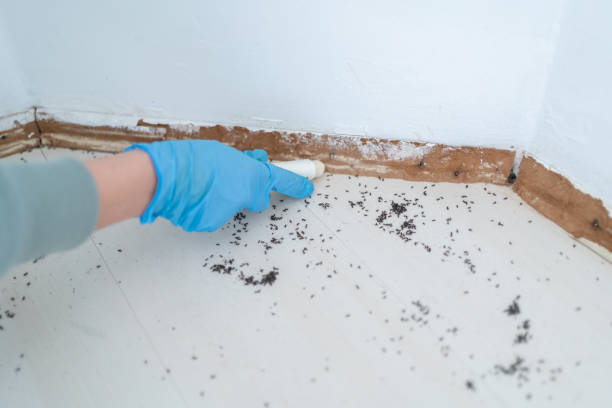 Best Affordable Pest Control Services  in Portage, IN